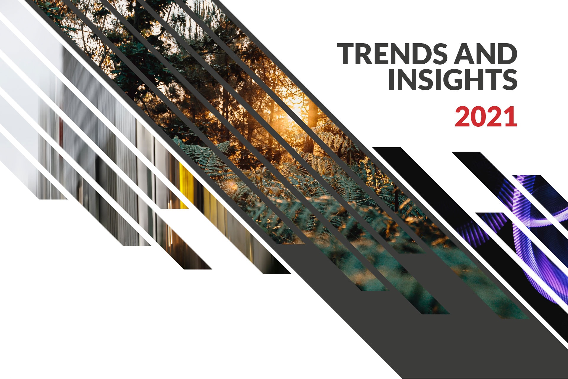 Prominate Trends and Insights 2021